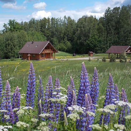 Guest House Kalnini Карли Экстерьер фото