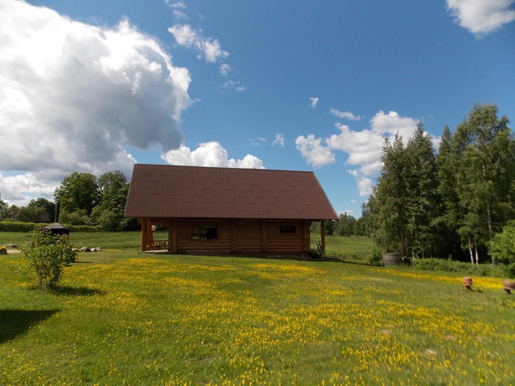 Guest House Kalnini Карли Экстерьер фото