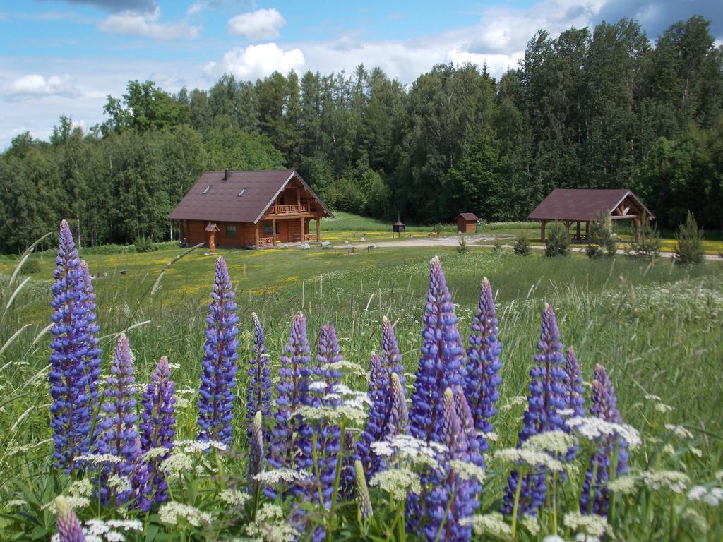 Guest House Kalnini Карли Экстерьер фото