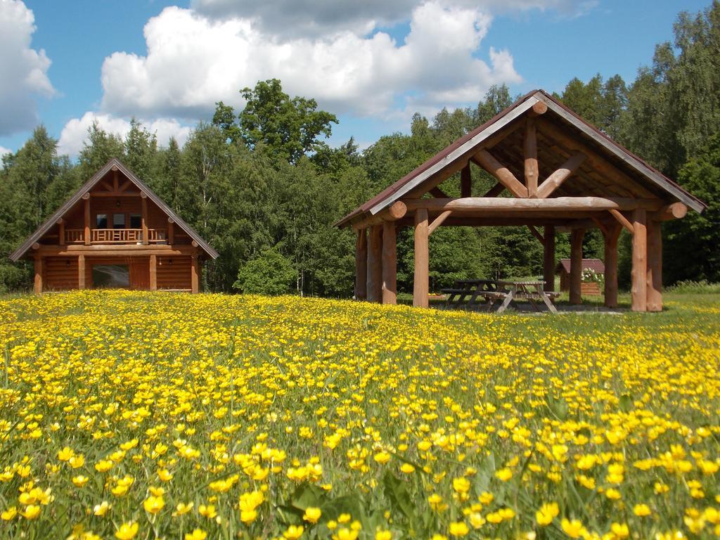 Guest House Kalnini Карли Экстерьер фото